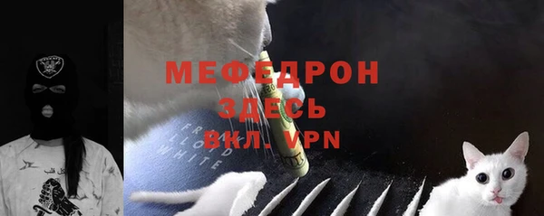 прущие грибы Абаза