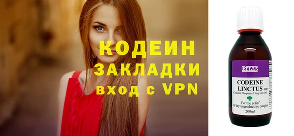прущие грибы Абаза