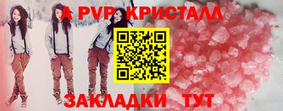 соль ск Новозыбков