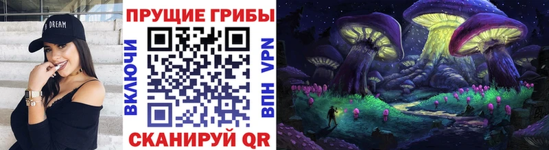 купить наркотик  Алапаевск  Псилоцибиновые грибы Magic Shrooms 