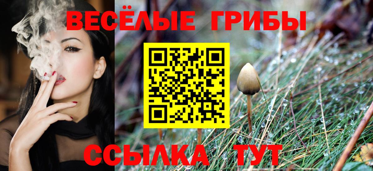 Псилоцибиновые грибы мухоморы Алапаевск