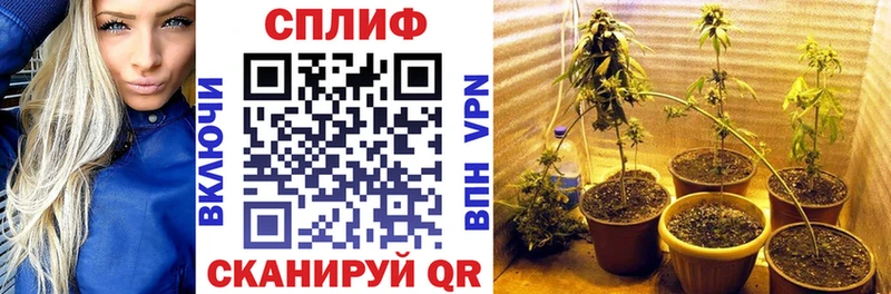 Бошки марихуана LSD WEED  магазин продажи   Алапаевск 